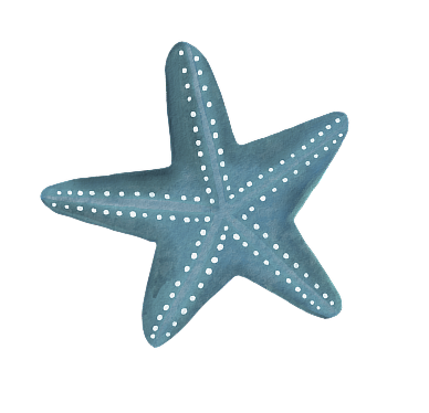 imgi 4 26a1de52c730166df86e5e1ce7c2e447 1