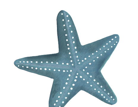 imgi 4 26a1de52c730166df86e5e1ce7c2e447 1